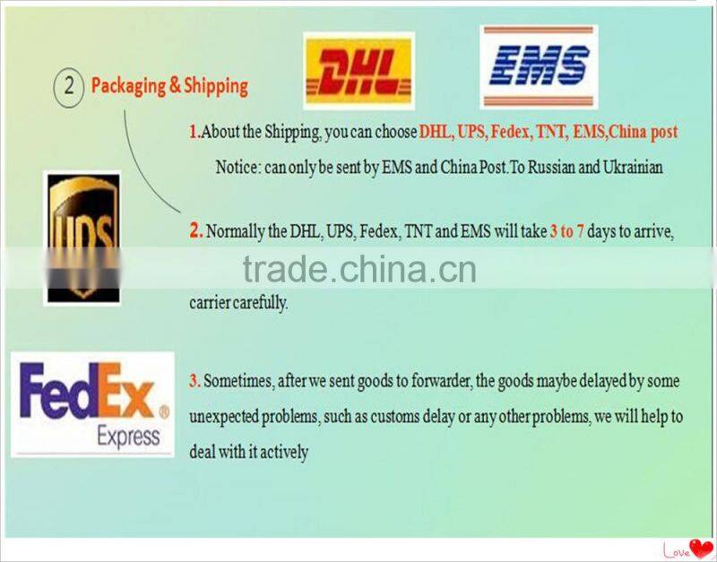 Smart detection 2MP/1080P Dome Camera People counting IP Camera with Micro SD memory function