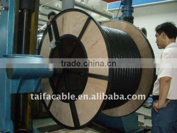 XLPE insulated SWA cable/RVMV 0.6/1 kV