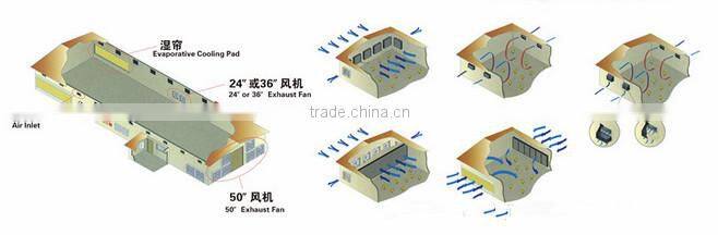 LEON poultry farm light trap