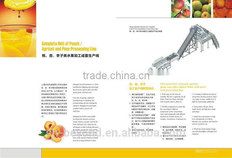 Complete Apricot Fruit Processing Line