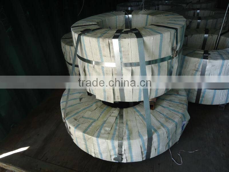 hot dipped galvanized steel strip