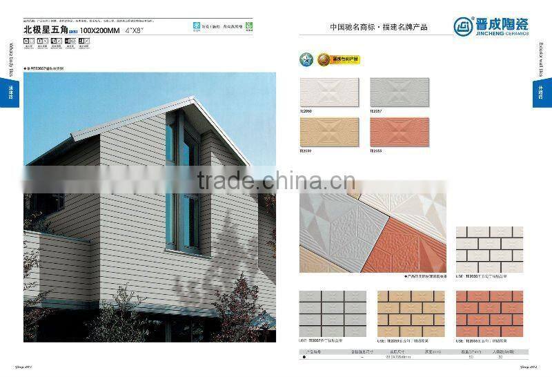 TE2055 full body external exterior wall tile outdoor wall tile