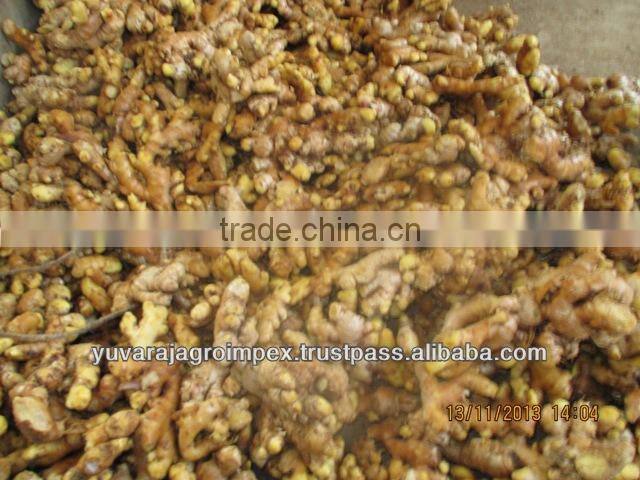 Best Quality Ginger for Sale