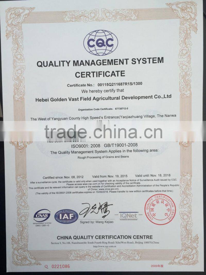 5009 sunflower seeds market price