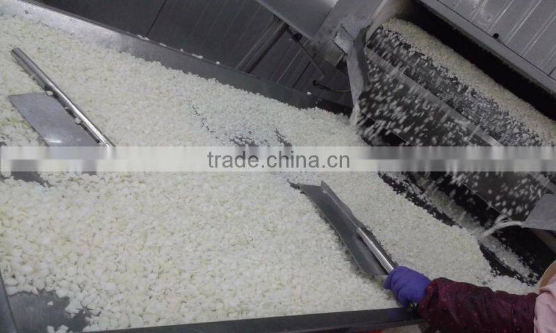 IQF Frozen Diced white Onions-10*10mm