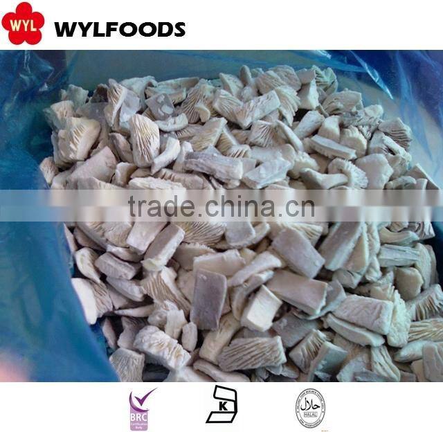 china good price IQF oyster mushrooms