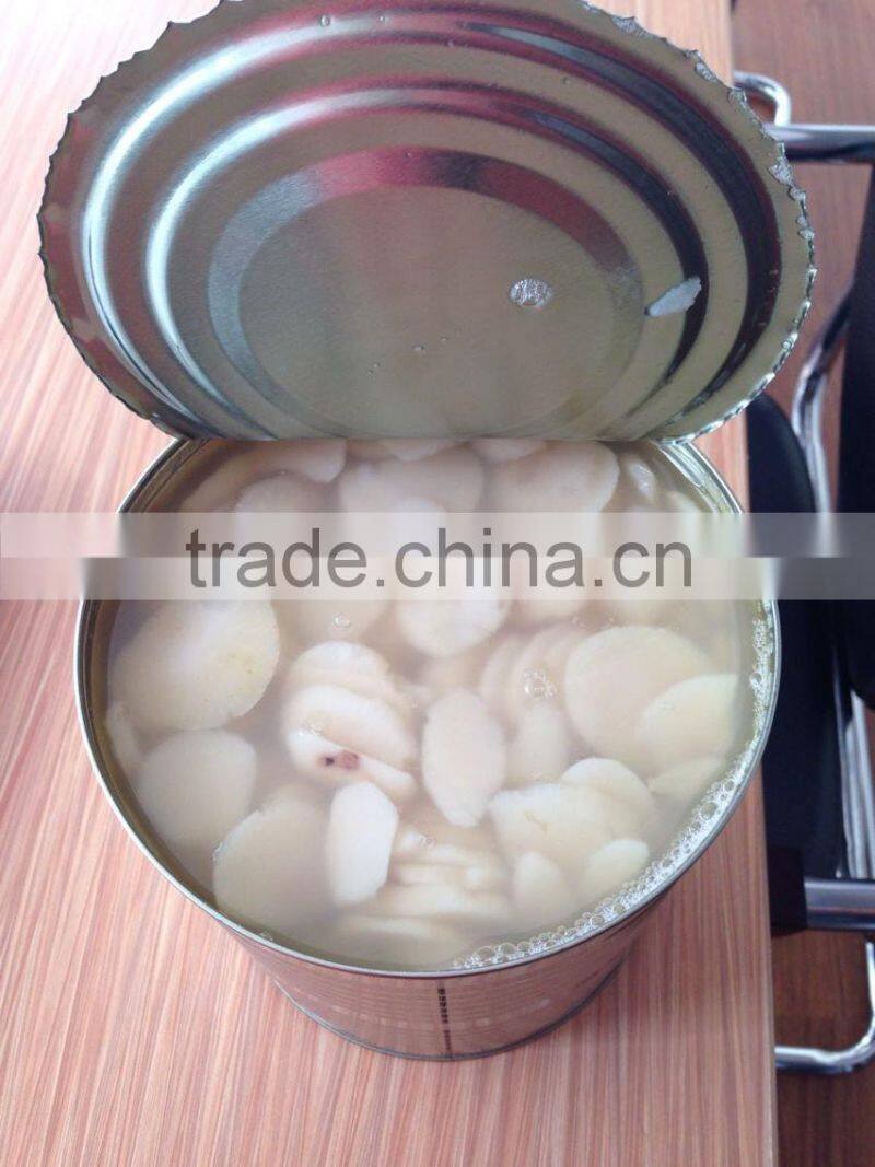 Good Taste Canned Vegetable Canned Water Chestnuts