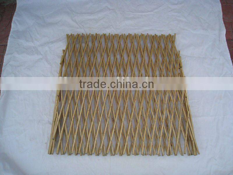 willow trellis/willow fence