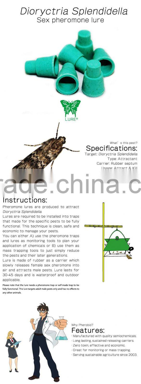 Pheromone Lure for Dioryctria Splendidella and bigger wing trap