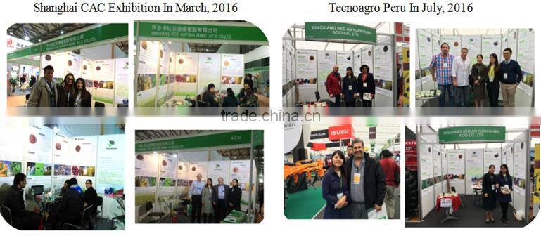 Enzymatic Amino Acids 80% Fertiliser Pure Organic