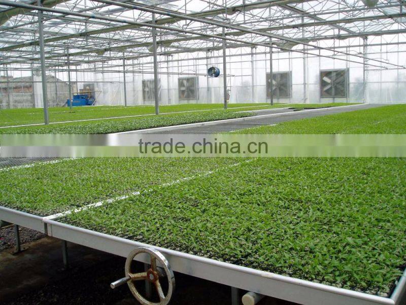 Commercial hydroponic plastic tray for greenhouse