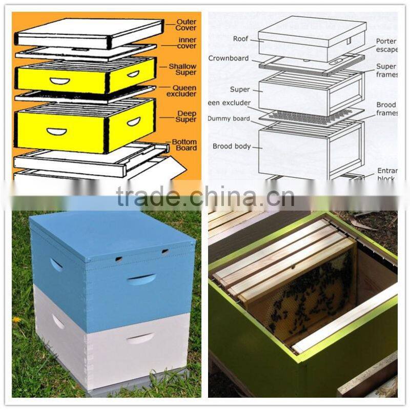 Dadant beehive/ Langstroth beehive / British beehive