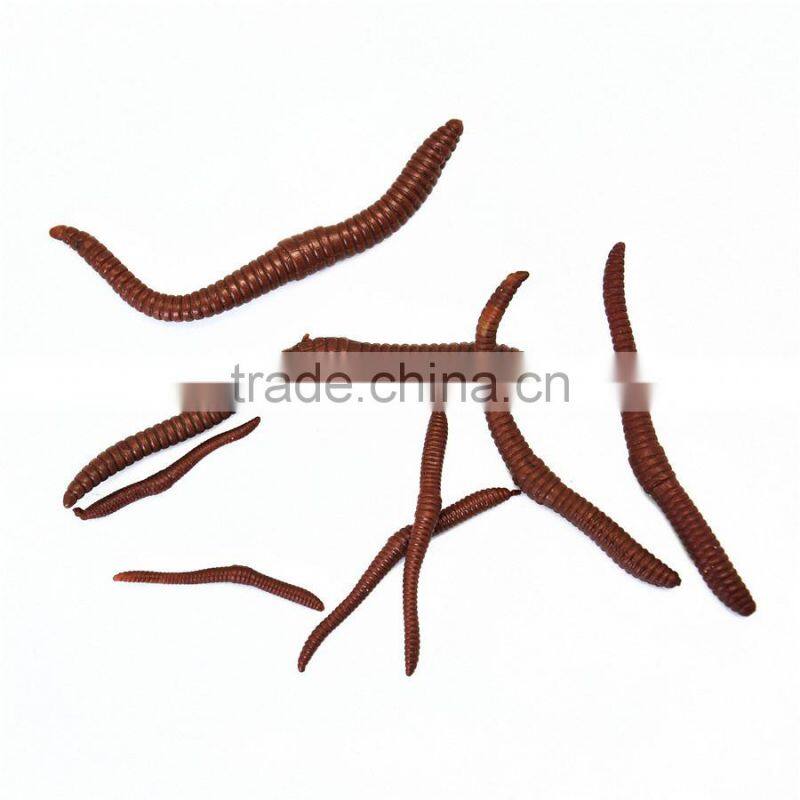 carp fishing accessories carp fishing tackle carp fishing rod pod