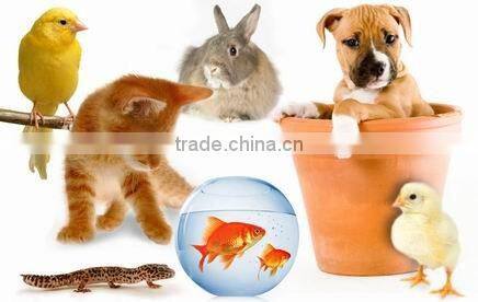 New condition Single Screw Fish Feed Extruder/Floating Fish Feed Pelletizer/Wet Type Fish Feed Extruder