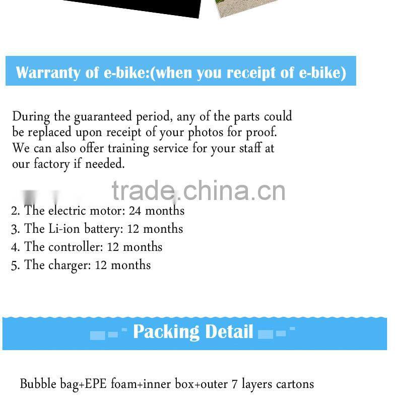 electric mountain bike 28" CST tire