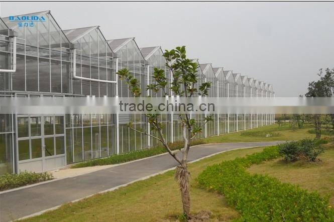Galvanized Steel Structure Tempered Glass Greenhouse/Hydroponics Greenhouse/Commercial Greenhouse