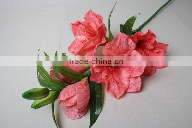 Natural Vallota speciosa fabric Vallota speciosa decorative Vallota speciosa artificial flower for wholesale
