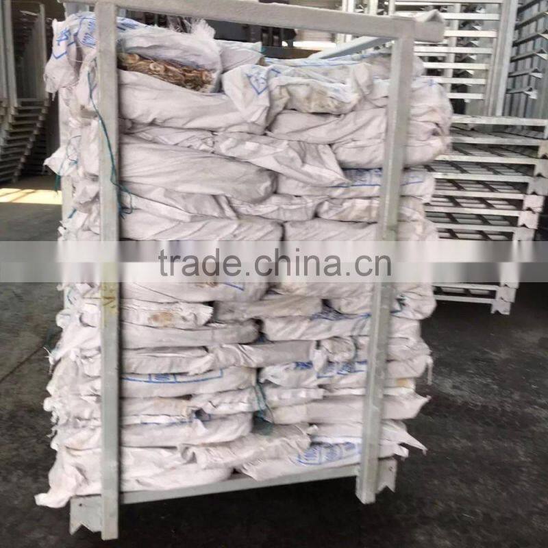 Illex Argentinus Squid Frozen Seafood