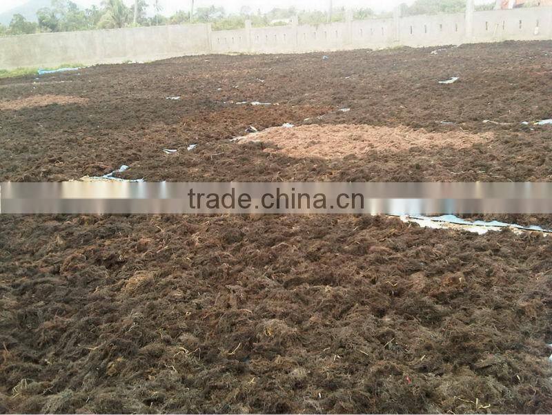 Pink Stock Garment with Big Quantity