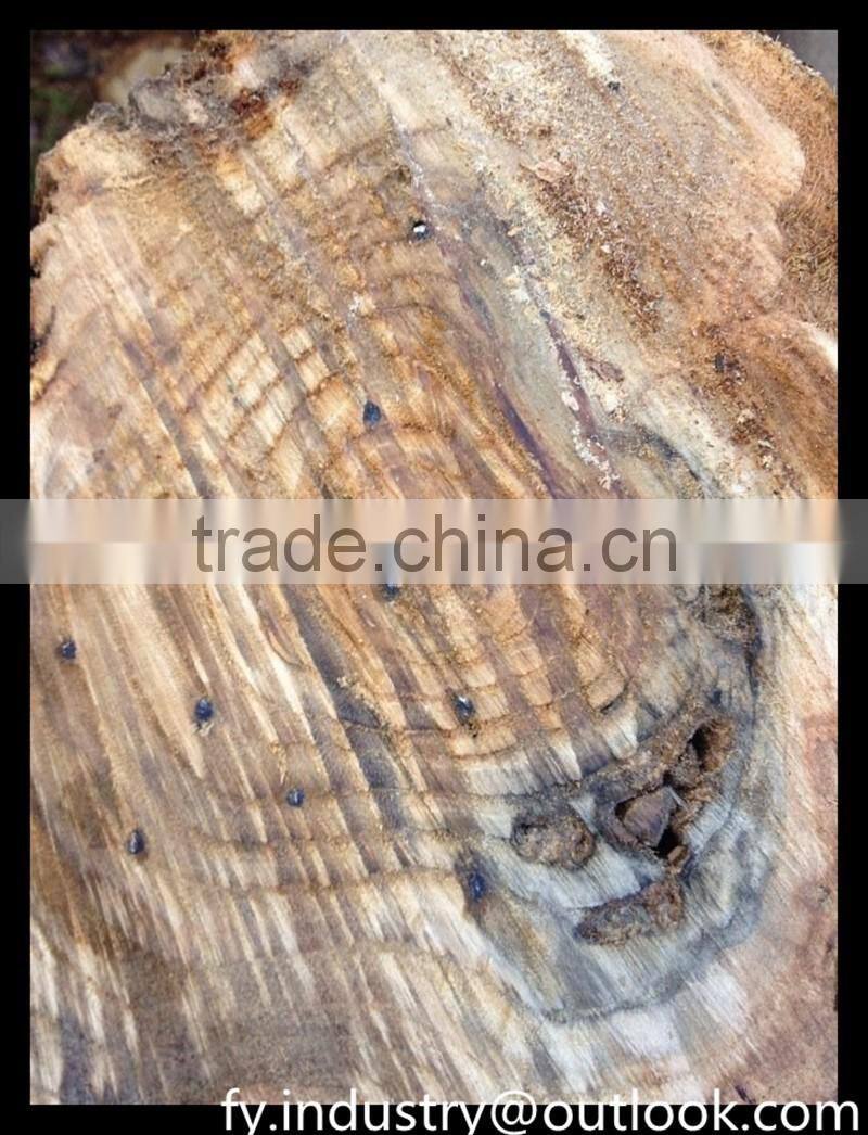 FY138 tungsten Quality Carbide Chainsaw Parts Chain 3/8" .058" Chain Saw Spare Parts For Chainsaws