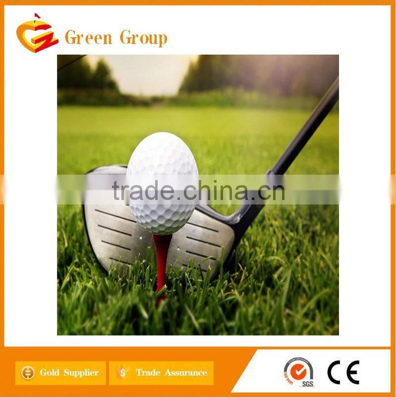 2016 hot!Golf drive/Golf Club with Great Design
