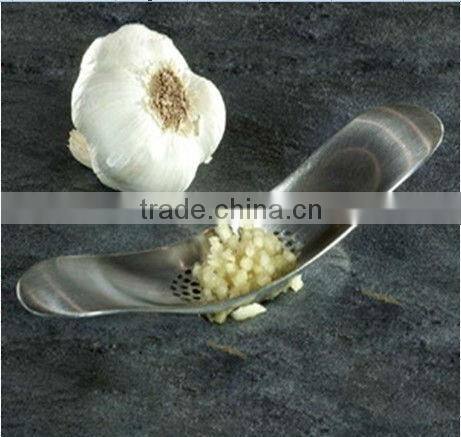 Stainless Steel Garlic Rocker