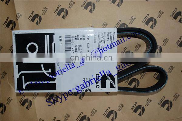 NT855 6 PK v belt 217638
