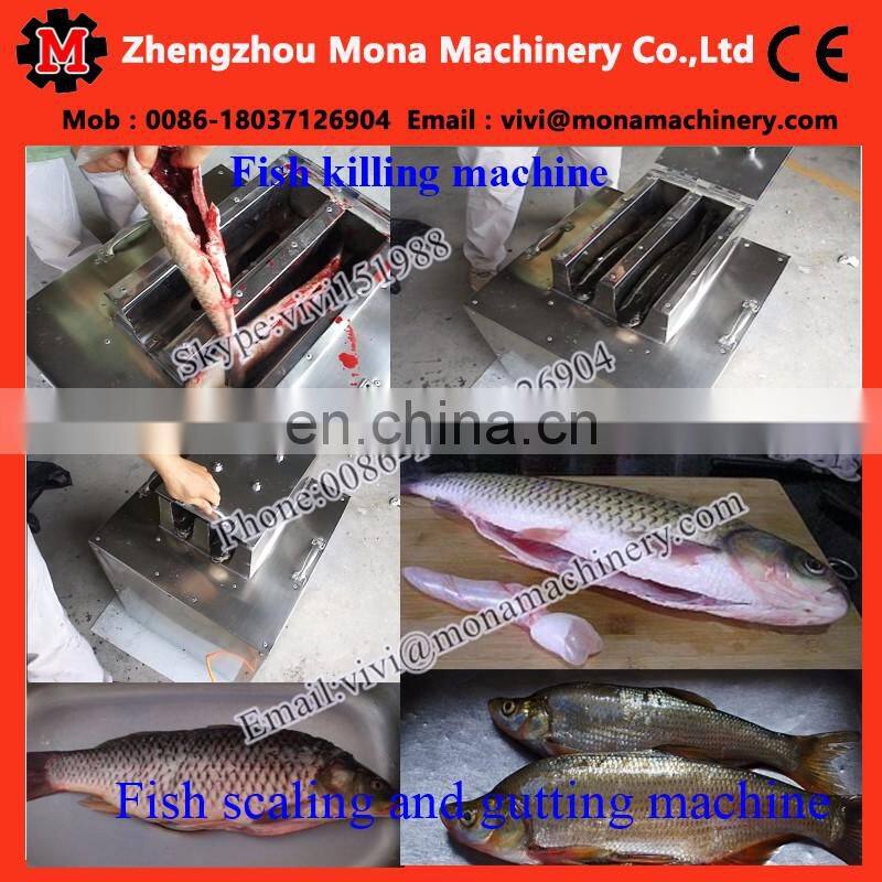 automatic small fish cleaning machine|anchovy fish killer machine|Tilapia gutting machine