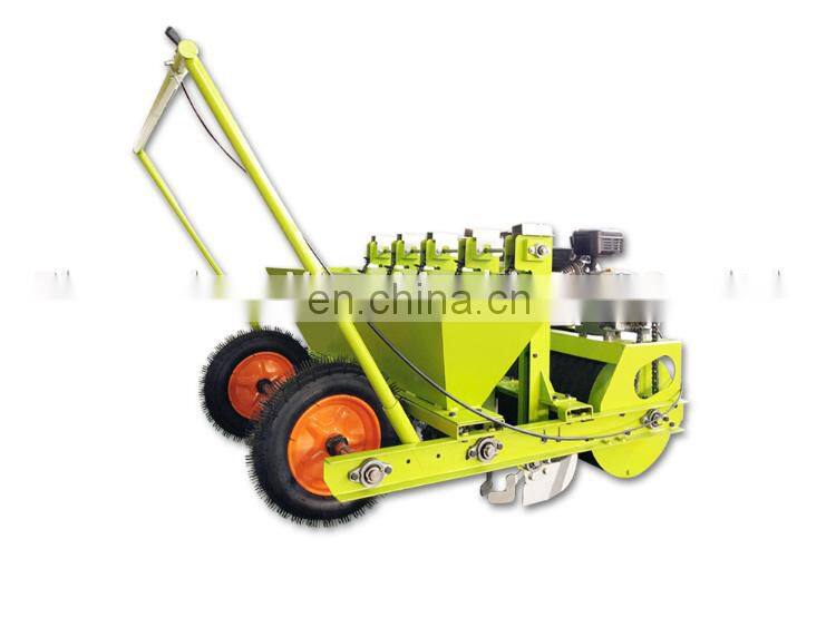 hand planter for garlic / Hand push garlic seeder / Garlic planting machine