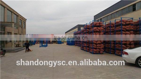 The Best Vegetable Product from China Fresh Garlic