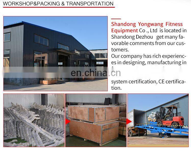 2019 Dezhou Shandong China Commercial Gym Fitness Equipment Sets