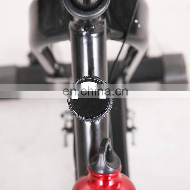 2019 Home Gym Equipment Commercial Spin Bike Cardio Fitness Equipment Swing Cycling Bike Spin Bike