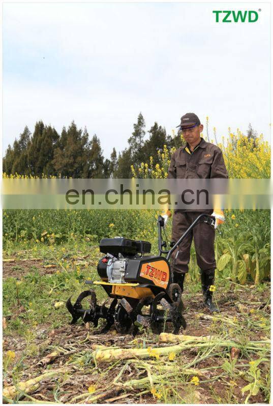 Rotary Cultivator Tiller Rotovator Farm Equipment (BK-500)