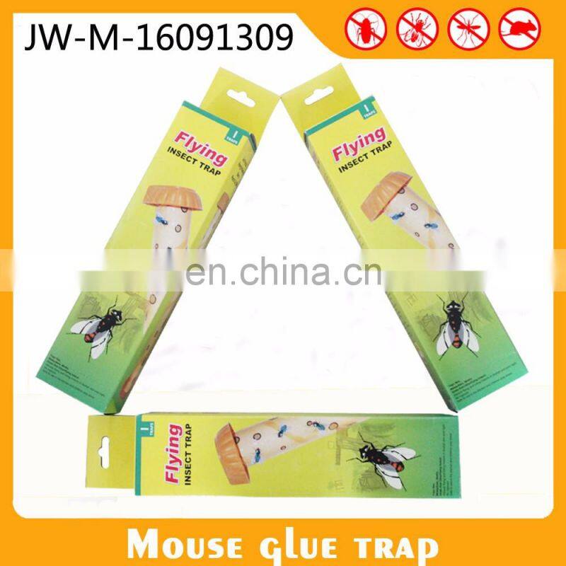Adhesive Fly Trap Fruit Fly Paper Board