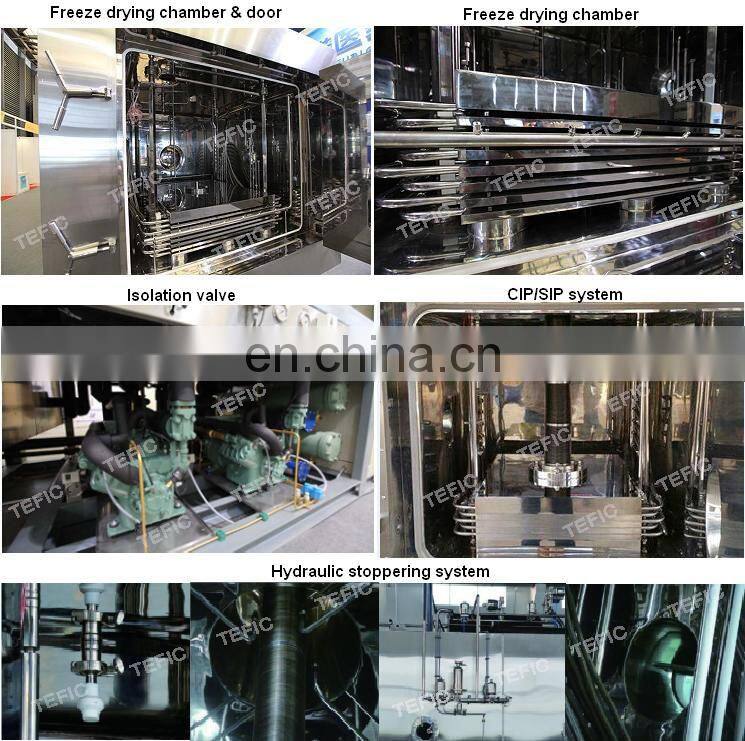 CIP, SIP pharmaceutical industrial vacuum freeze dryer lyophilizer manufacturer, Industrial vacuum freeze dryer for vials