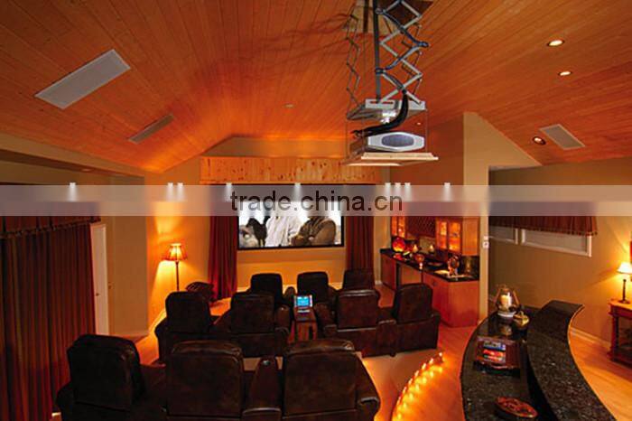 Electric Projector Ceiling Mounts/Motorized Projector Lift