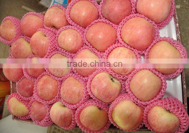 China red fresh fuji apple price