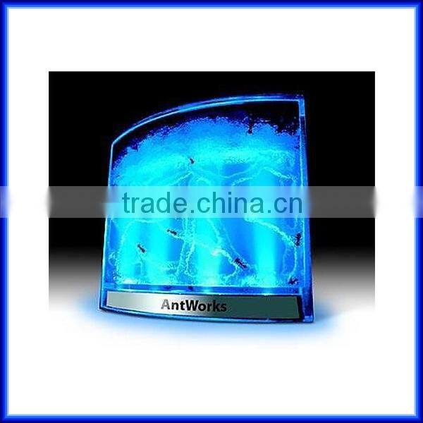 High quality Wholesale Magic Toy Ant Farm for children Education of Ant Worker