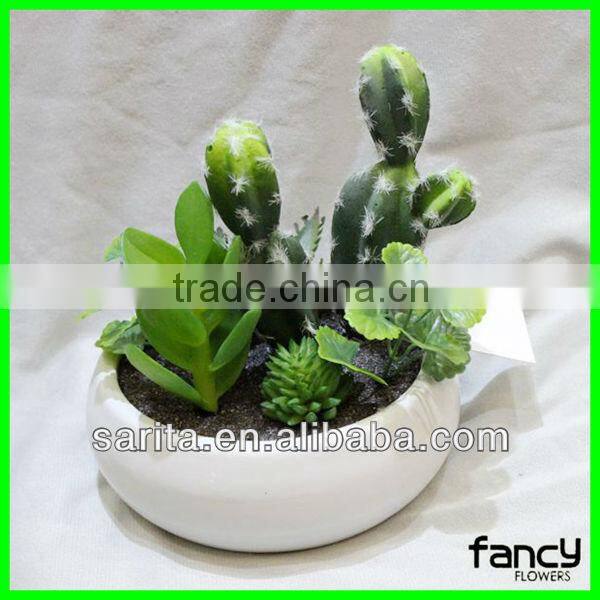 new design quality artificial cactus plants