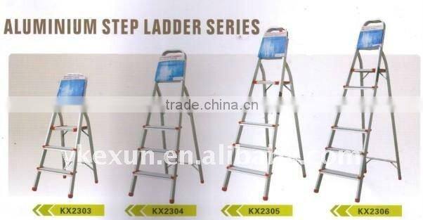 Aluminum Ladder