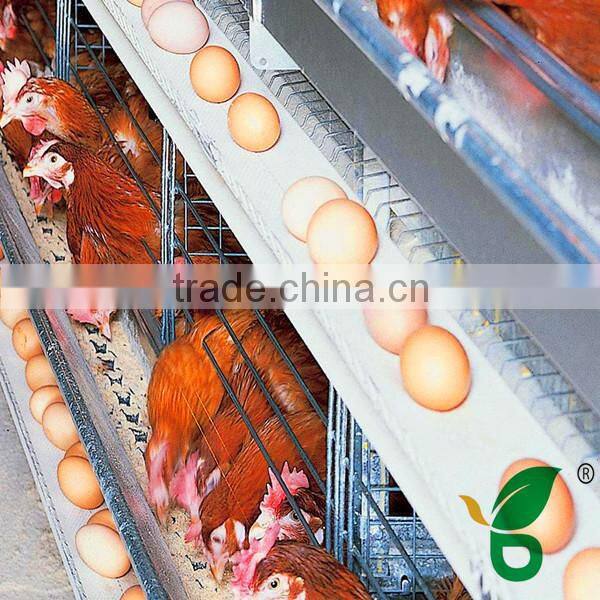 egg conveyor belts for battery layer cages