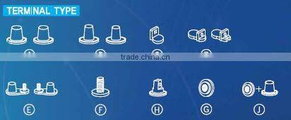 Best Quality Platinum Calcium Lead Grid Technology MF Battery With For European Vehicles