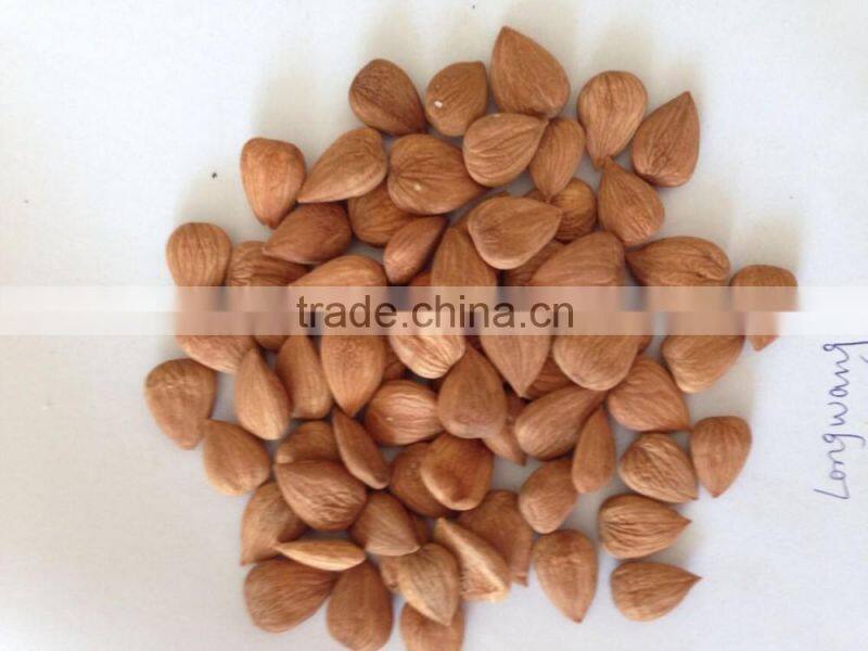 Supply with Chinese Bulk Sweet Apricot Kernels Longwang with good quality for Sales