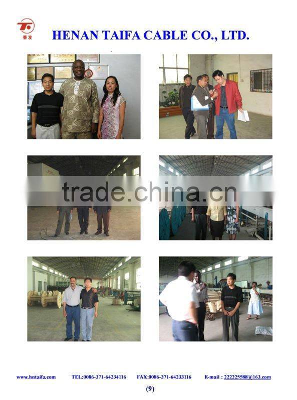 Overhead ACSR Bare Aluminum Conductor steel reinforced