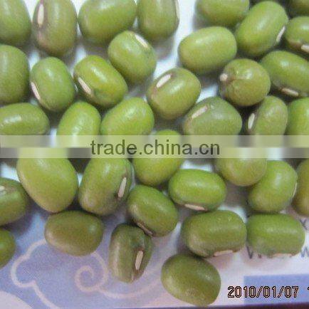 Chinese Green Mung Bean
