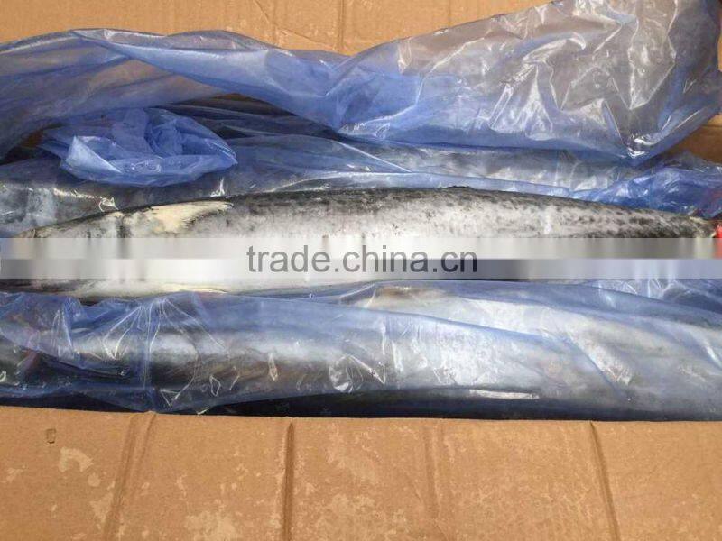 Wholesale Whole Round Spanish Mackerel Fish On Sale