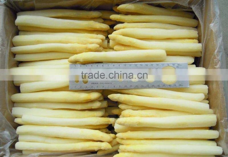 IQF Fresh Green Asparagus from China