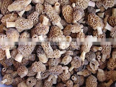 Highquality frozen IQF champignon