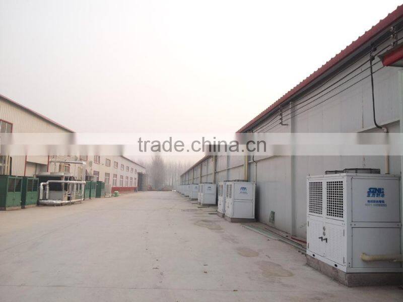 Canned Bailing mushroom(sliced)