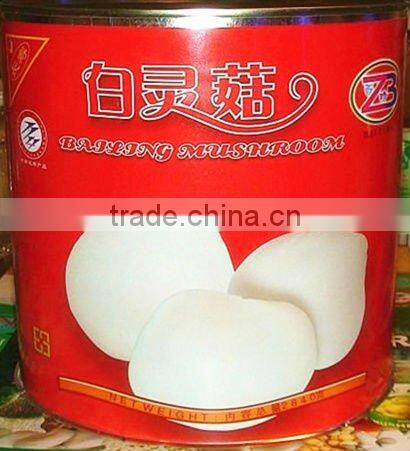 2016Shijixiang Fresh mushroom(Organic)